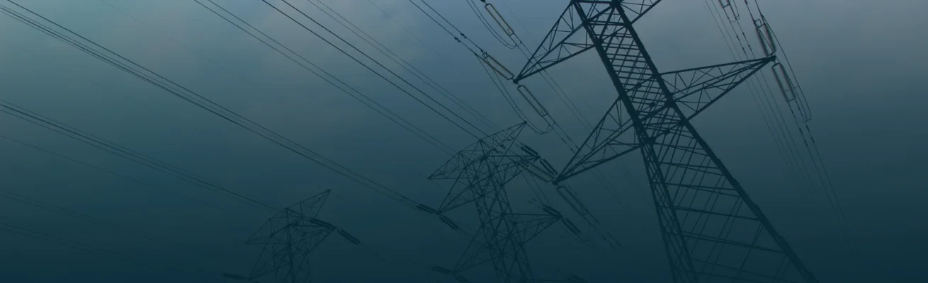 ELECTRIC BACK